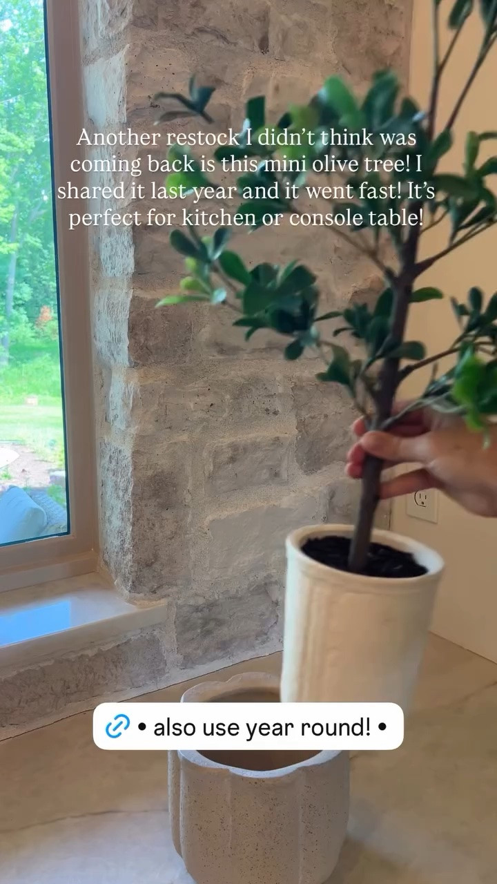 Another restock I didn’t think was coming back is this mini olive tree! I shared it last year and it went fast! It’s perfect for kitchen or console table!

#LTKHome #LTKSeasonal #LTKmomlife