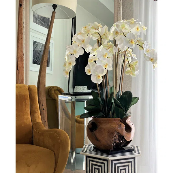 Orchid Floral Arrangement in Planter | Wayfair North America
