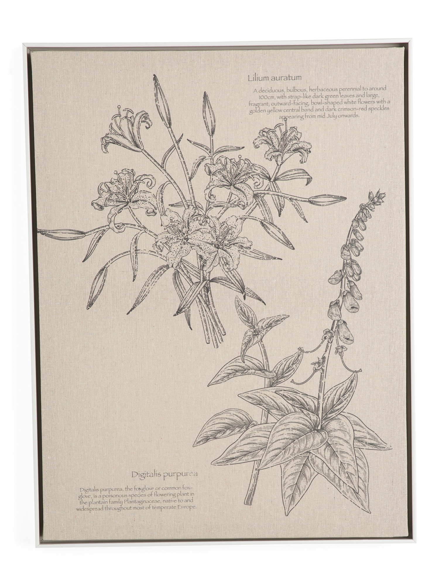 Leaf Studies Wall Art | Home | Marshalls | Marshalls