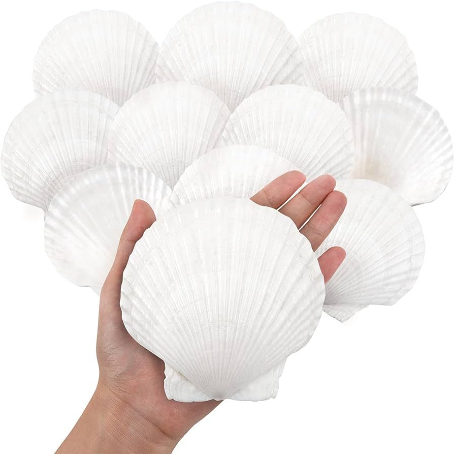 10PCS Large Natural Scallop Shells, 4''-5'' Large Shell for Crafts, DIY Painting, Baking and Beac... | Amazon (US)