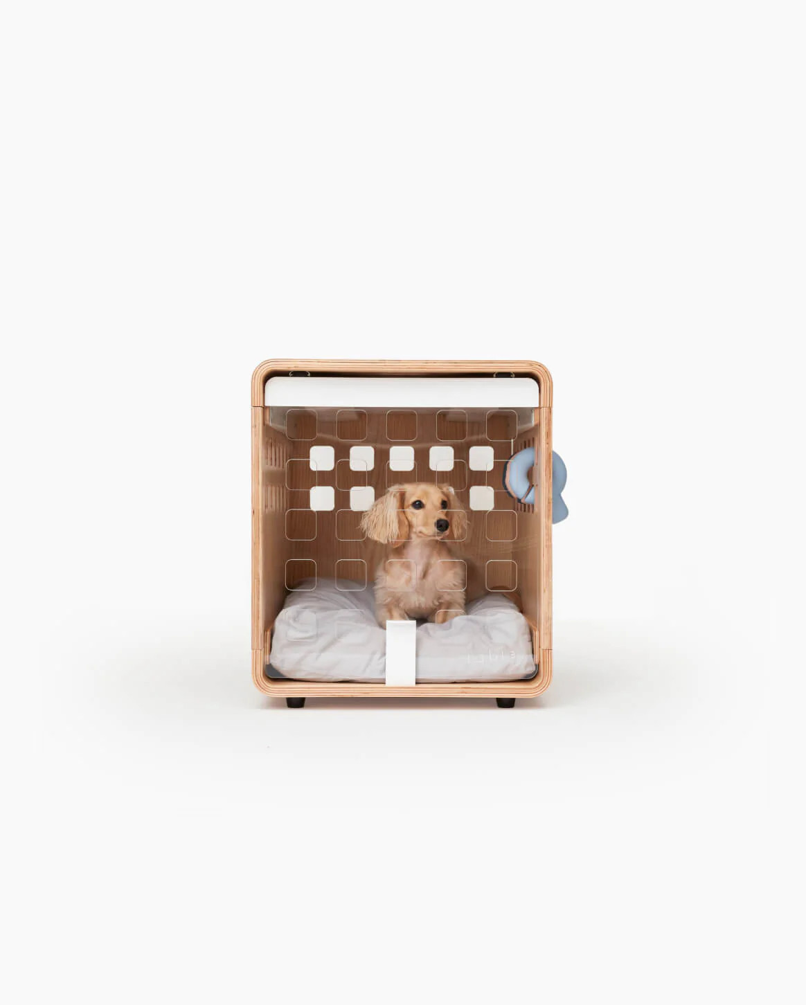 Fable | A Stylish Dog Crate & Furniture In One | Fable Pets