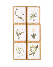 Set Of 6 11x14 White Flowers Hanging Wall Art | Home | Marshalls | Marshalls