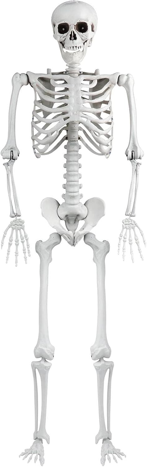 Halloween Life-Size Skeleton, Posable Full Body Skeleton Props for Halloween Decoration, Human Bo... | Amazon (US)