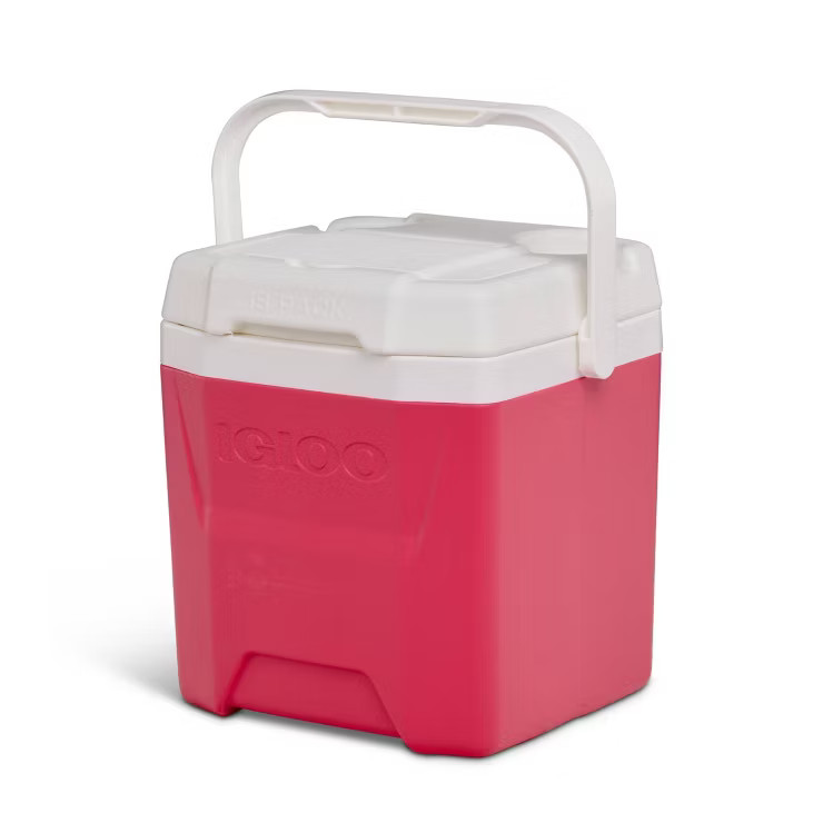 Igloo Quantum 12qt Hybrid Cooler | Target