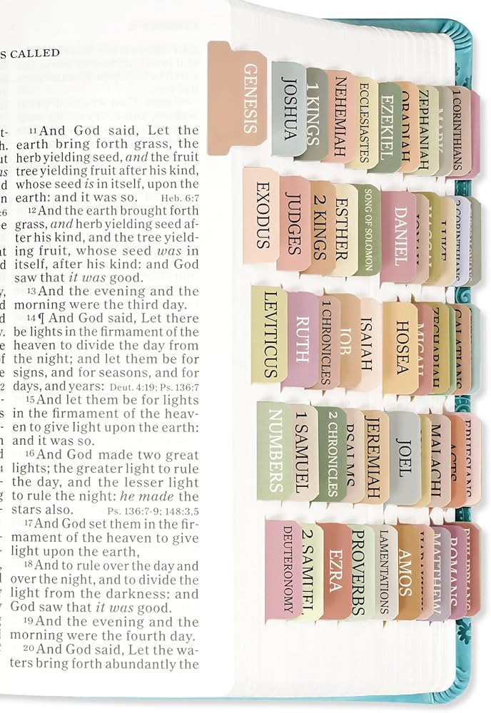 Bible Tabs for Women & Men, Laminated Bible Tabs for Study Bible, Boho Theme Bible Tabs for Easy ... | Amazon (US)