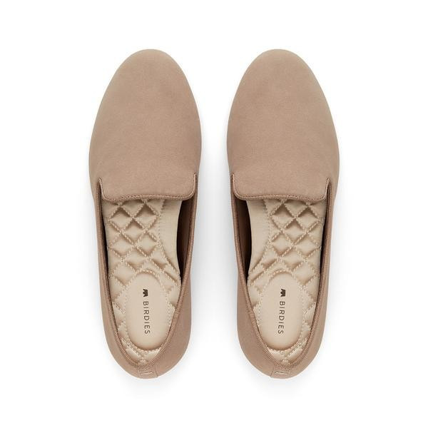 the starling | BIRDIES