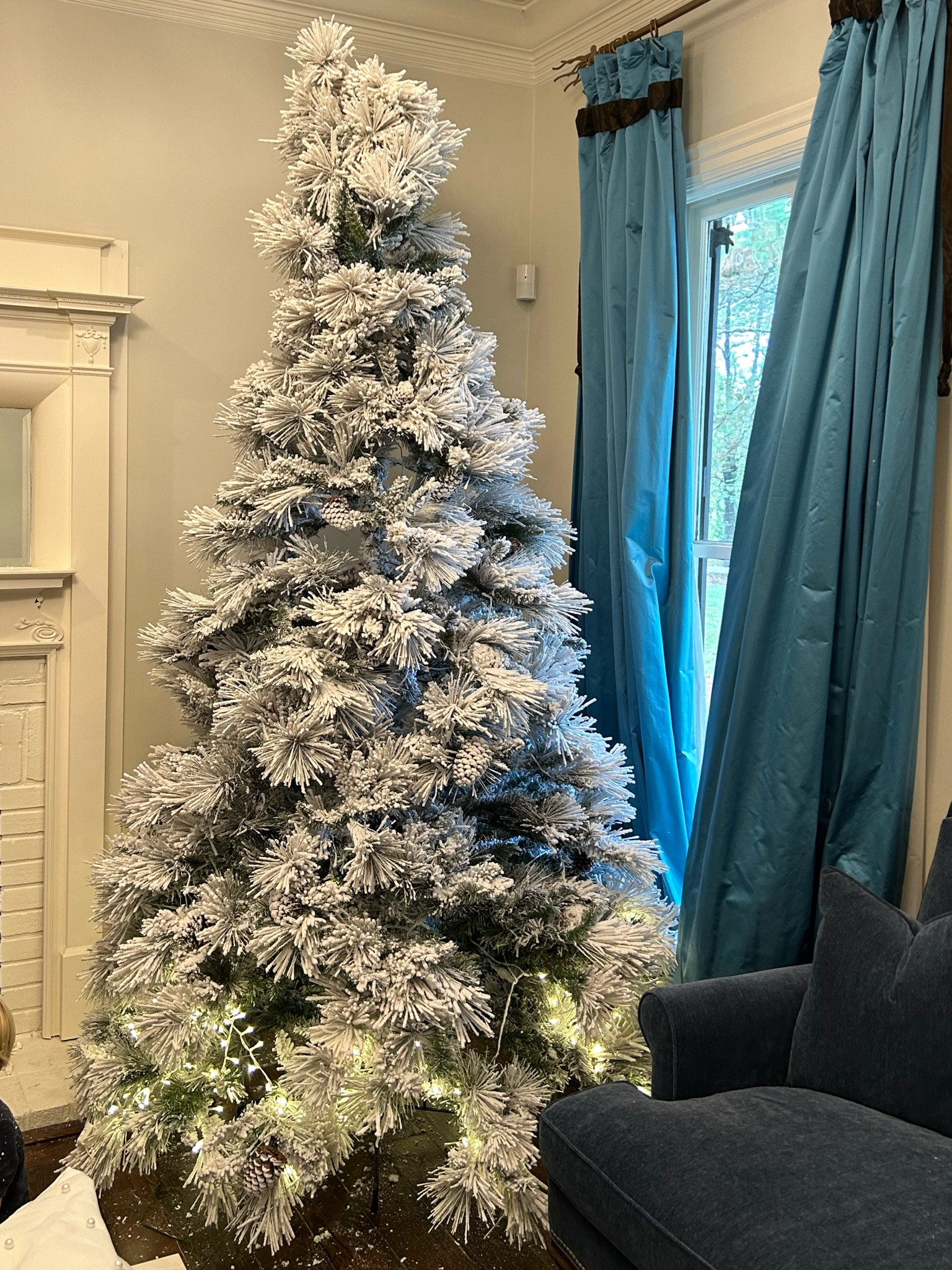 Vickerman 9' x59 led lights Flocked Atka

#LTKHoliday #LTKSeasonal #LTKStyleTip