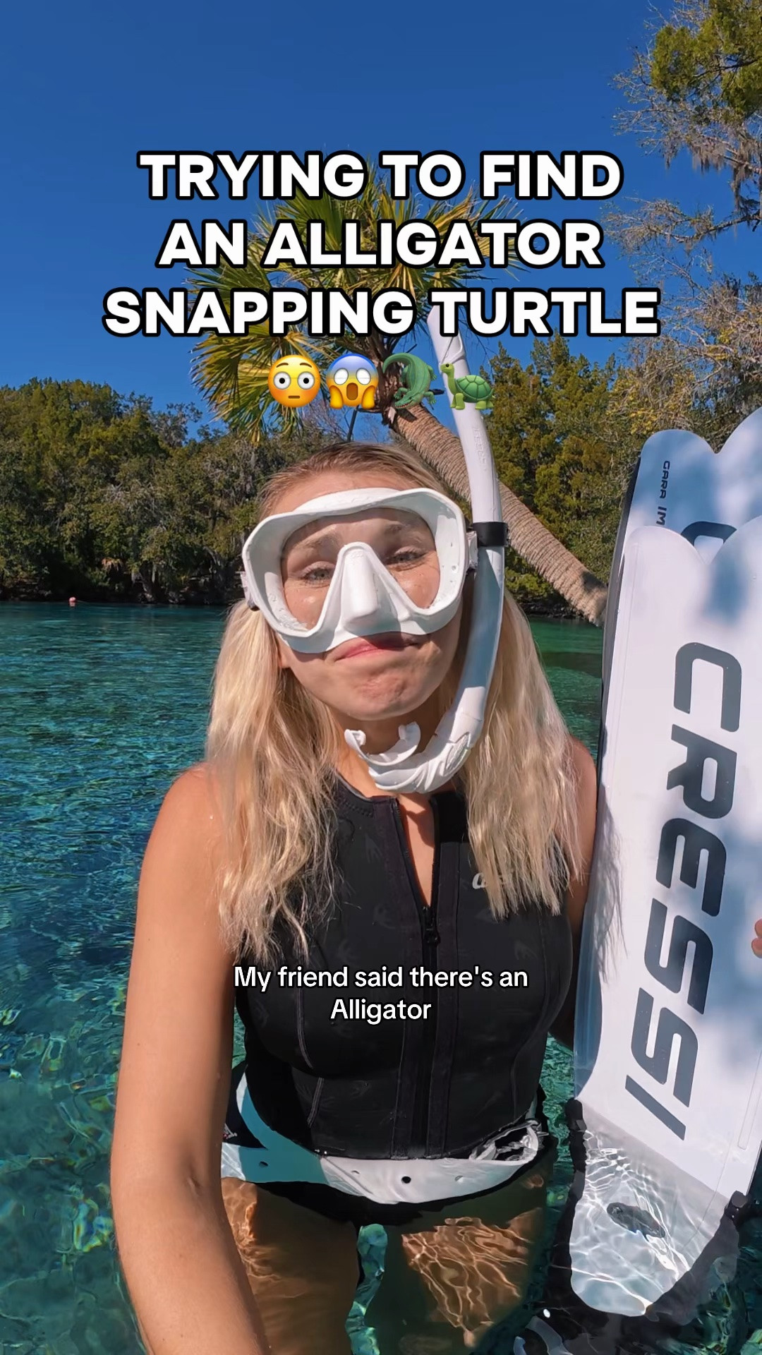 You definitely don’t wanna get your fingers anywhere NEAR him…😳 Wait to see how BIG he is!!

#turtle #alligator #florida #freediving #marinelife