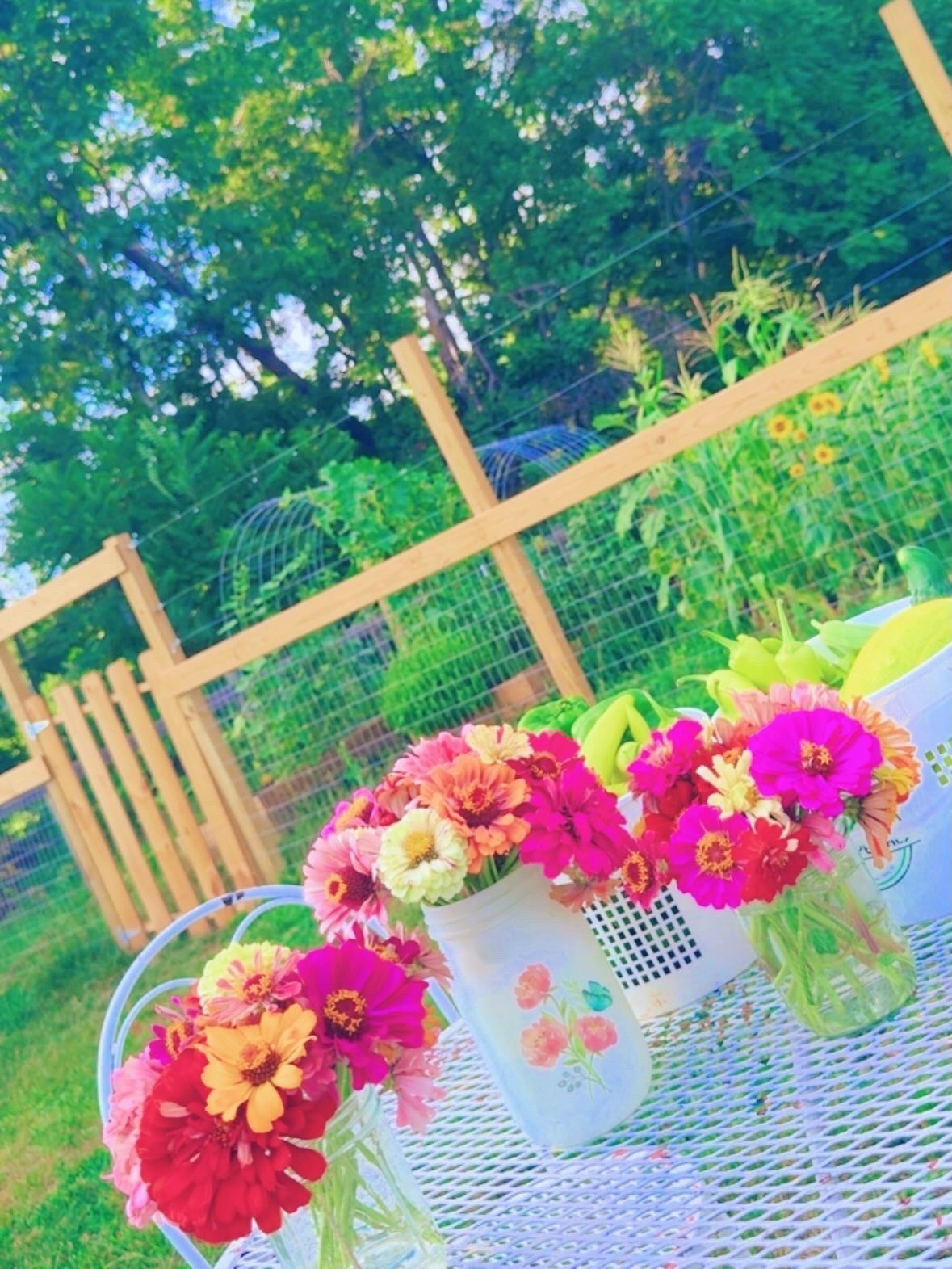 some happy lil’  s n a p s h o t s 🎞️ from our country farm garden 🪴💐🧺🌾🌼 and I am one happy happy mama 👩‍🌾 around here 🦋 watching all of our hard work (tiny little hands helping included 👶🏼💦🥰) pay off with such a bountiful harvest 🌻🥒🌽🌶️🌾 this year and seeing my dream 💭 country garden 🪏 bursting with life!! 🌸🫑🫙🪻🍉🌿🌅 #farmgarden #inmygarden #flowergarden #zinniaseason #wherethegoodthingsgrow
