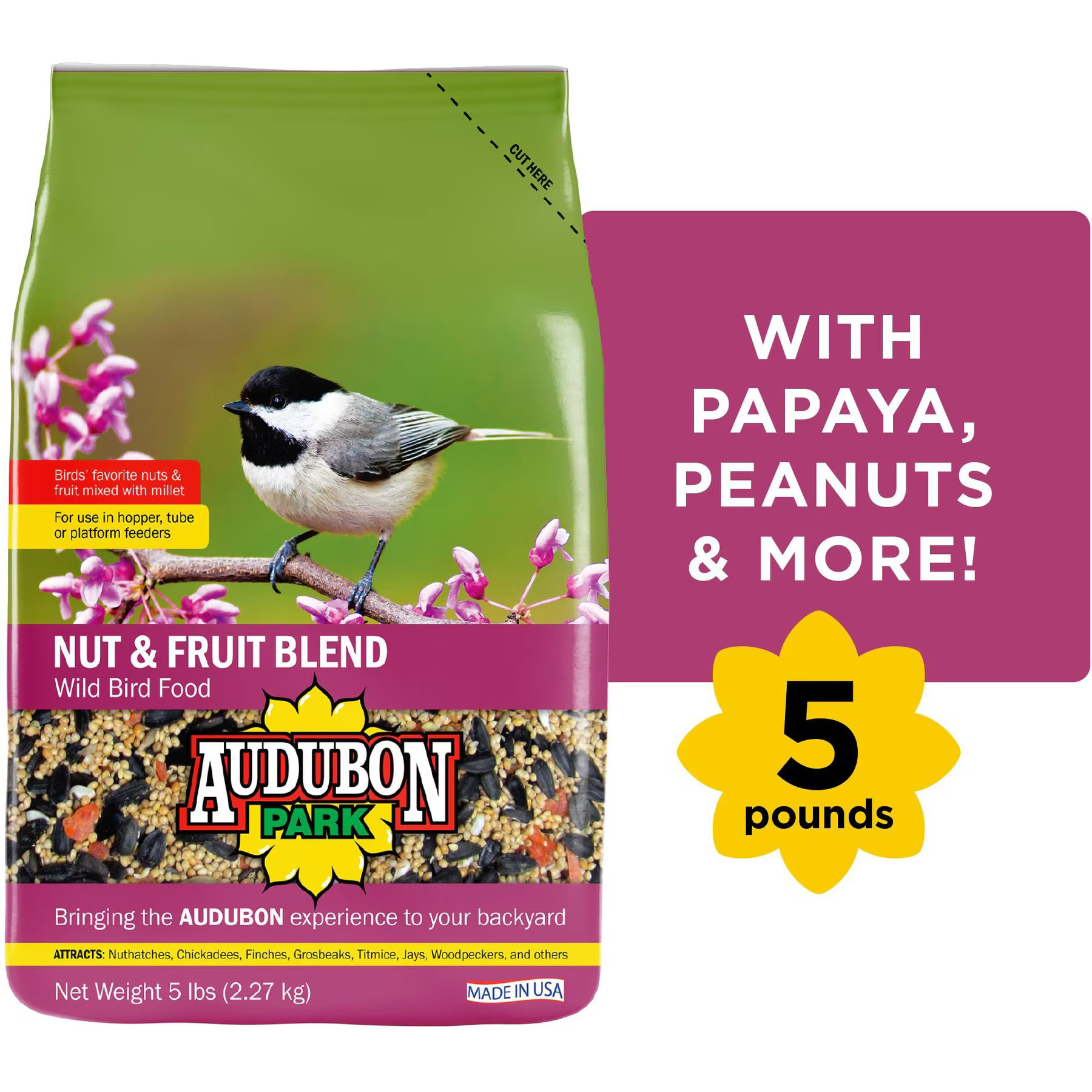 Audubon Park Nut & Fruit Seed Blends Wild Bird Food, 5-lb bag | Chewy