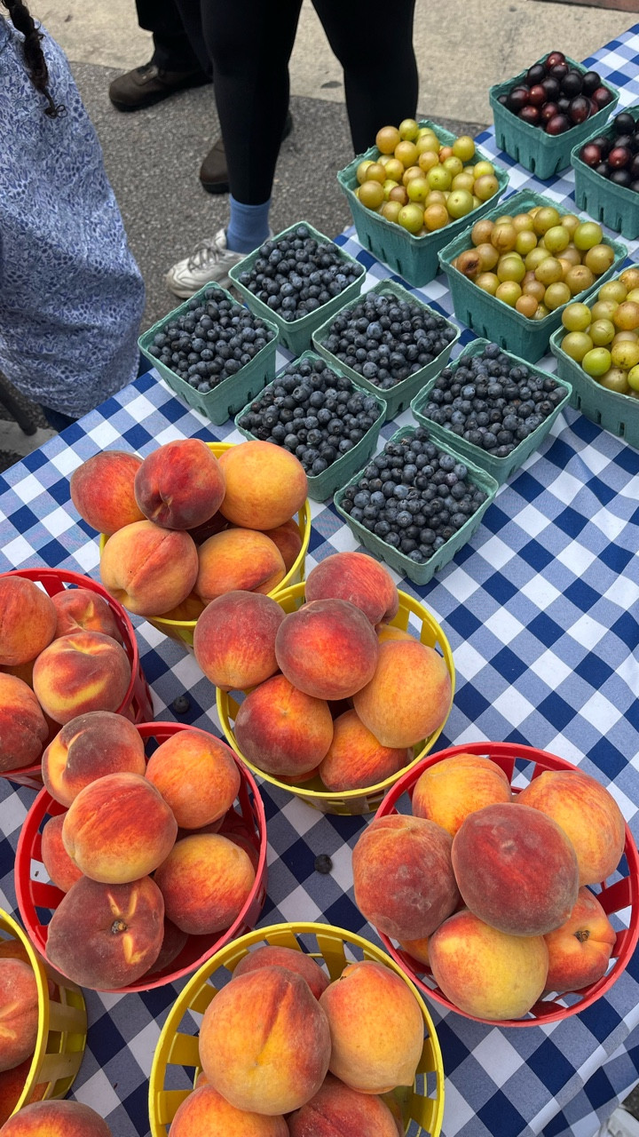 Nothing like a cool summer Saturday in Soda City (try saying that five times fast 🤭)! Add local bites and sights to your weekend with this easy itinerary!

✨Get adventurous and discover new favorites on @mainstcolasc while taking a stroll through @sodacitysc 🛍️

✨Support local bakeries and cafes like @butterkremequeen_bakes_bakery and @niblcola to get your sweet treat fix 🍰☕️

✨Fill your belly with a delicious brunch from @viciousbiscuits right down the road in @cityofforestacres 🍴

✨Celebrate with someone you love and end the day cozied up with snacks from @traderjoescolumbiasc 💖

#columbiasc #thingstodocolumbiasc #columbiascfood #sodacitysc #sodacitymarket #irmosc #alocalsguidetocolumbiasc