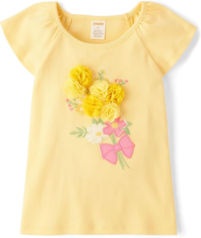 Gymboree Girls' and Toddler Embroidered Graphic Short Sleeve T-Shirts | Amazon (US)