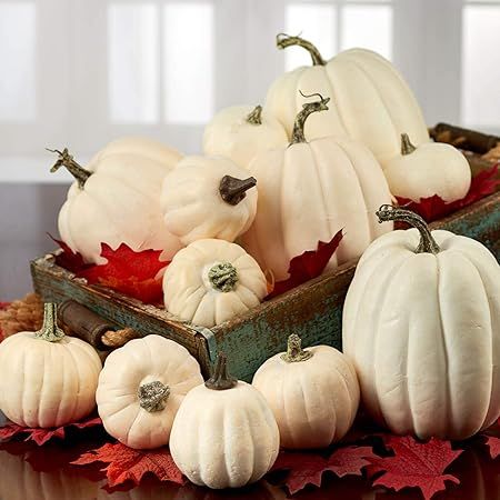 Set of 12 Assorted Harvest White Pumpkins for Halloween, Fall and Thanksgiving Decorating | Amazon (US)
