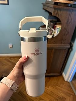 Stanley IceFlow Stainless Steel Tumbler with Straw, Vacuum Insulated Water Bottle for Home, Offic... | Amazon (US)