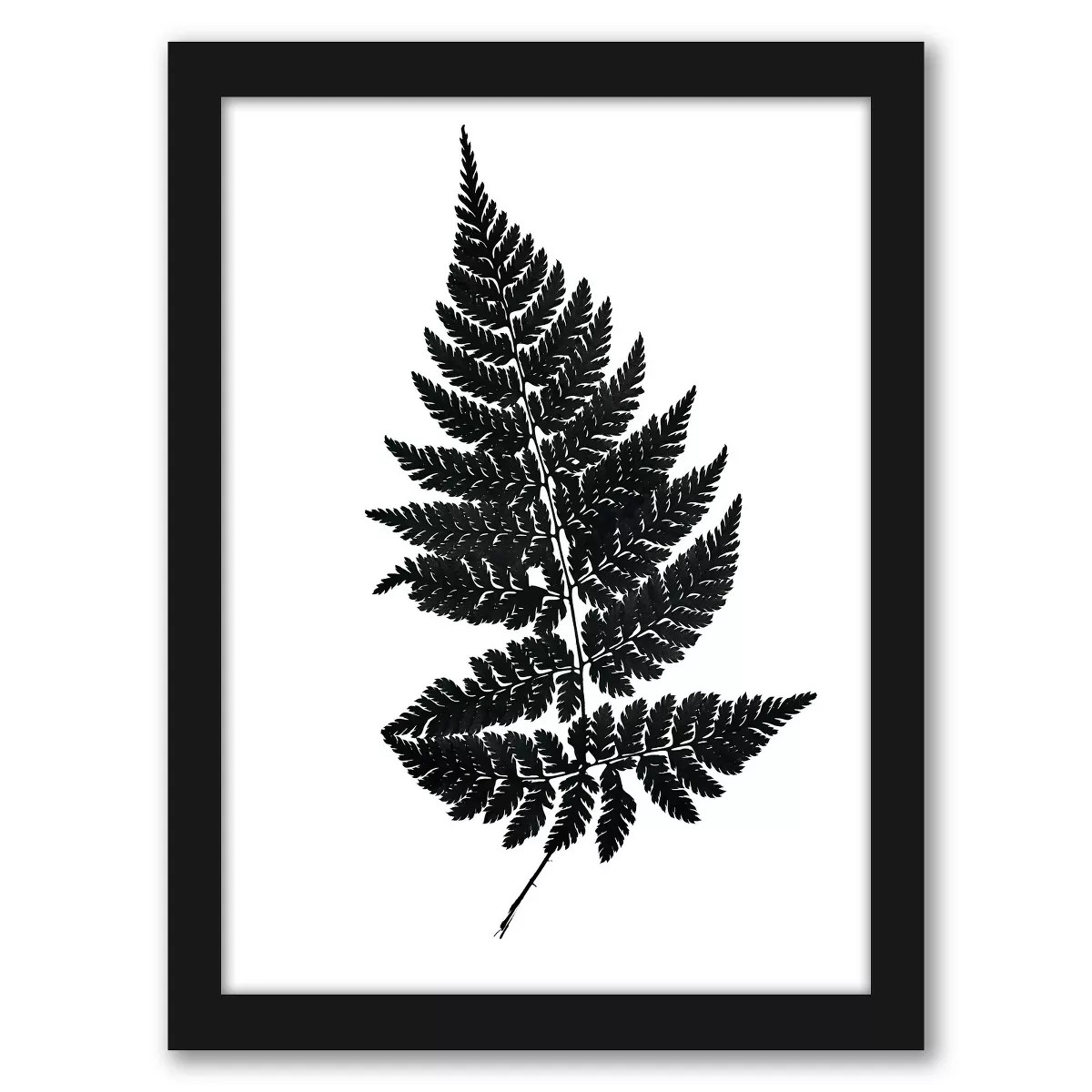 Americanflat Black Fern I Master Layer by Chaos & Wonder Design Black Frame Wall Art | Target