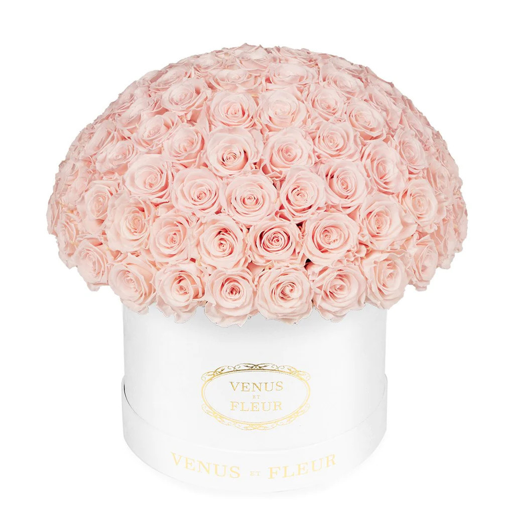 Le Plein - White Classic with Eternity Roses | Venus ET Fleur