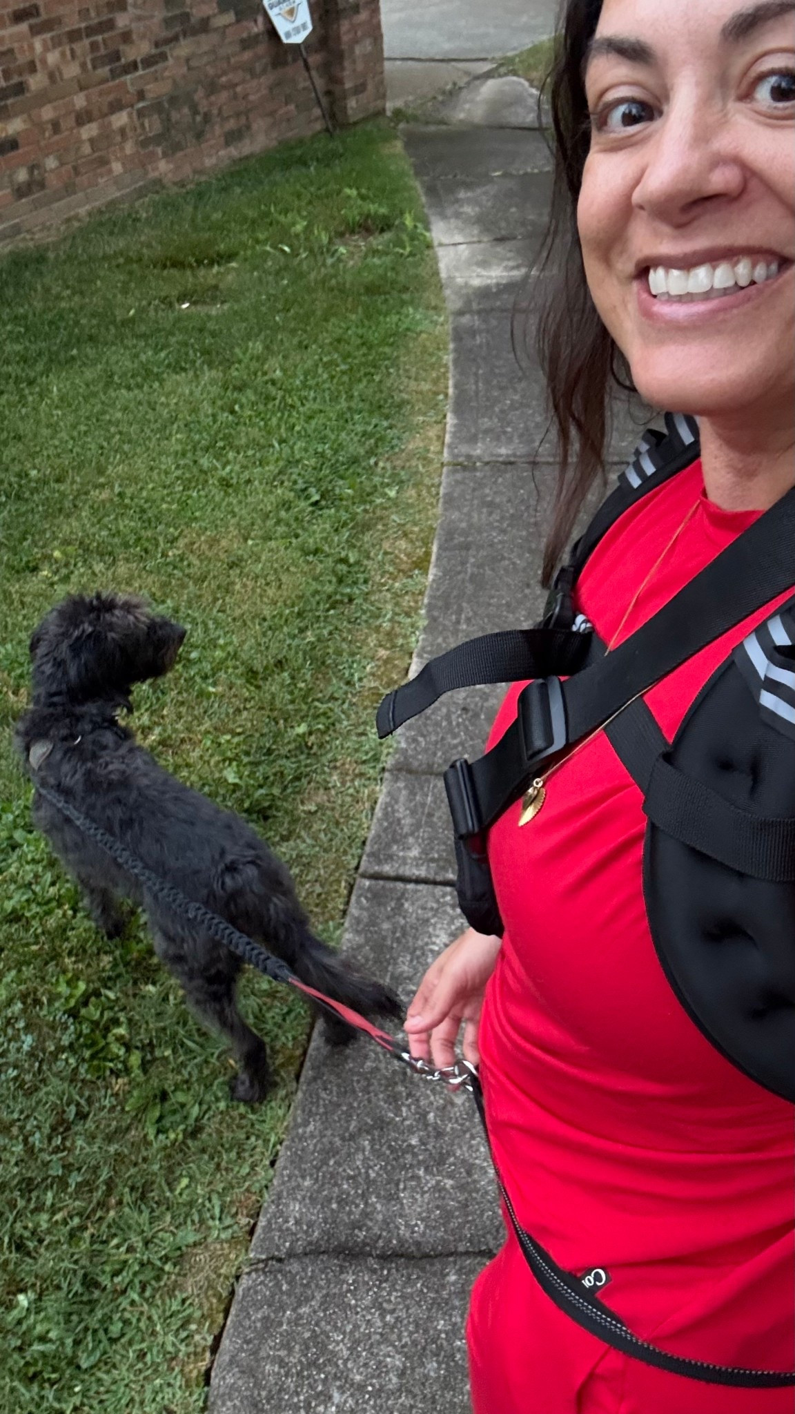 Trying this weighted vest trend

#LTKActive #LTKMidsize #LTKPets