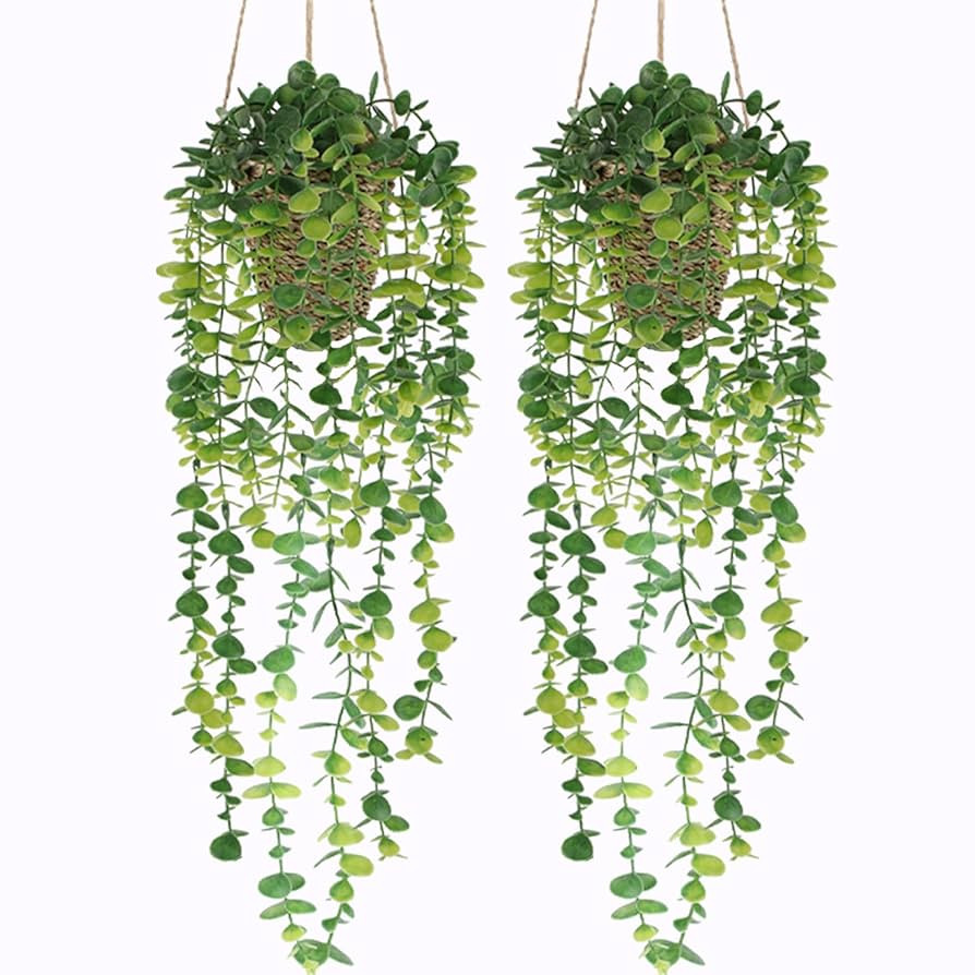 Nisoger Fake Hanging Plant with Woven Basket, 2 Pack Artificial Hanging Plants, Faux Vines Eucaly... | Amazon (US)