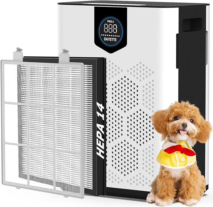 Air Purifiers for Home Large Room, H14 True HEPA Filter up to 3000 Sq Ft, Double-sided Air Inlet ... | Amazon (US)