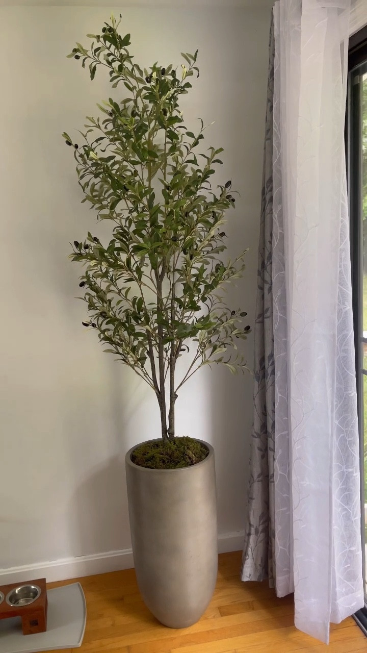 DIY olive tree! came out SO good 

#LTKVideo #LTKhome