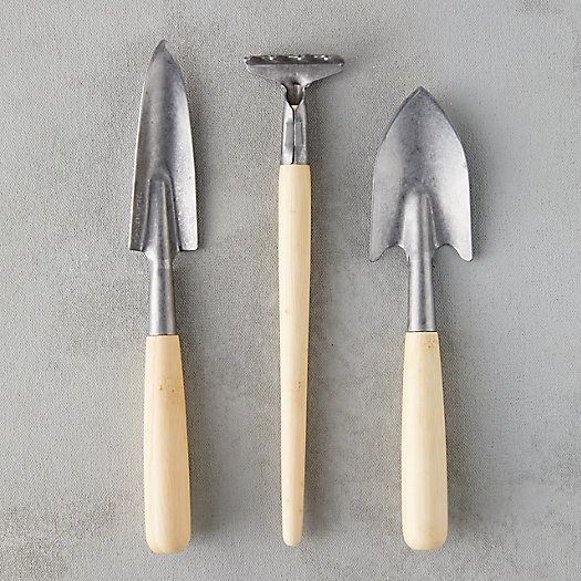 Mini Indoor Hand Tool Set | Terrain