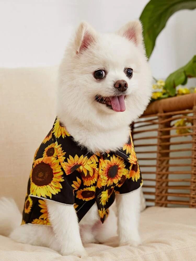 PETSIN Sunflower Print Pet Shirt | SHEIN
