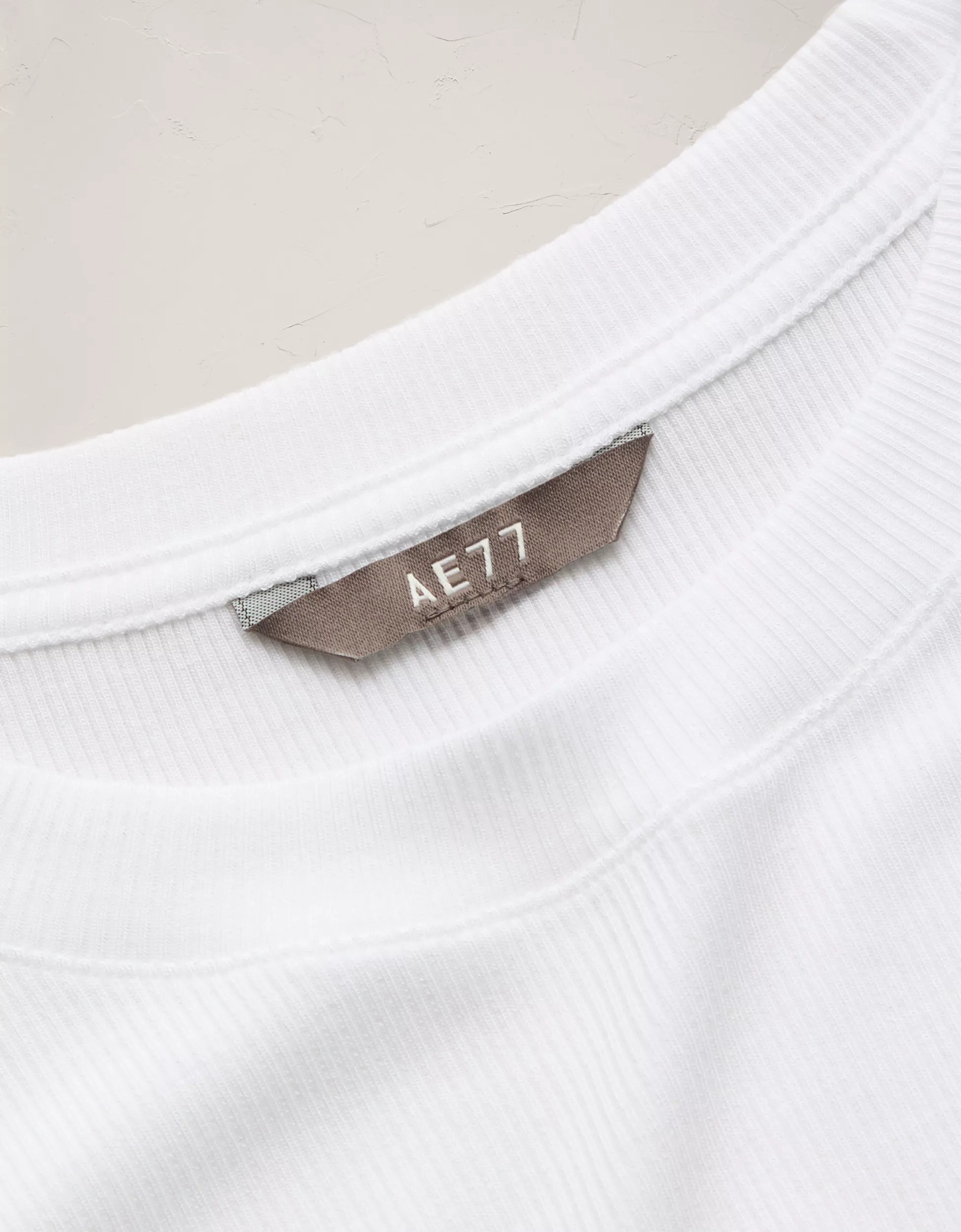 AE77 Premium Ribbed T-Shirt | American Eagle Outfitters (US & CA)