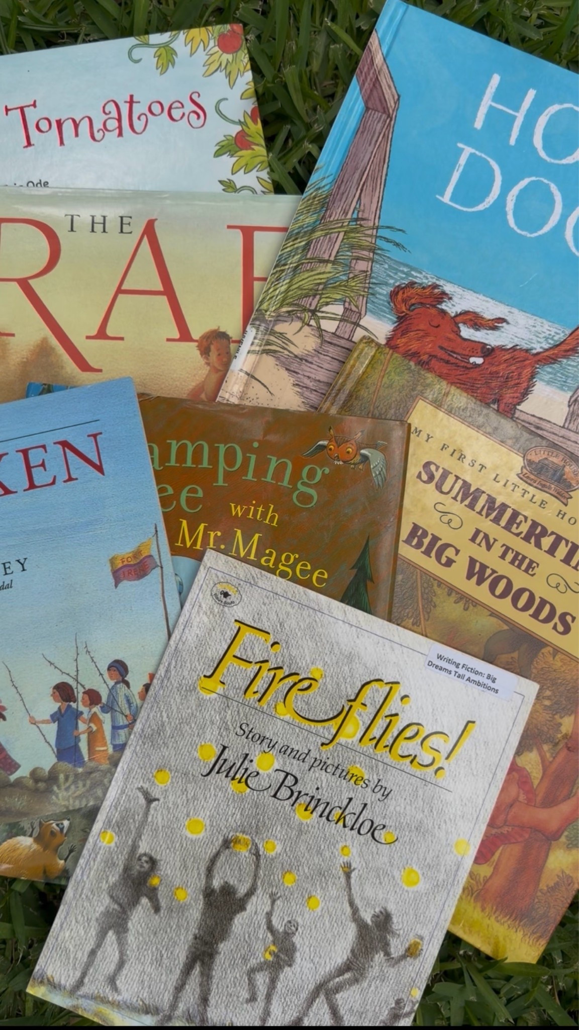 Summer Picture Books