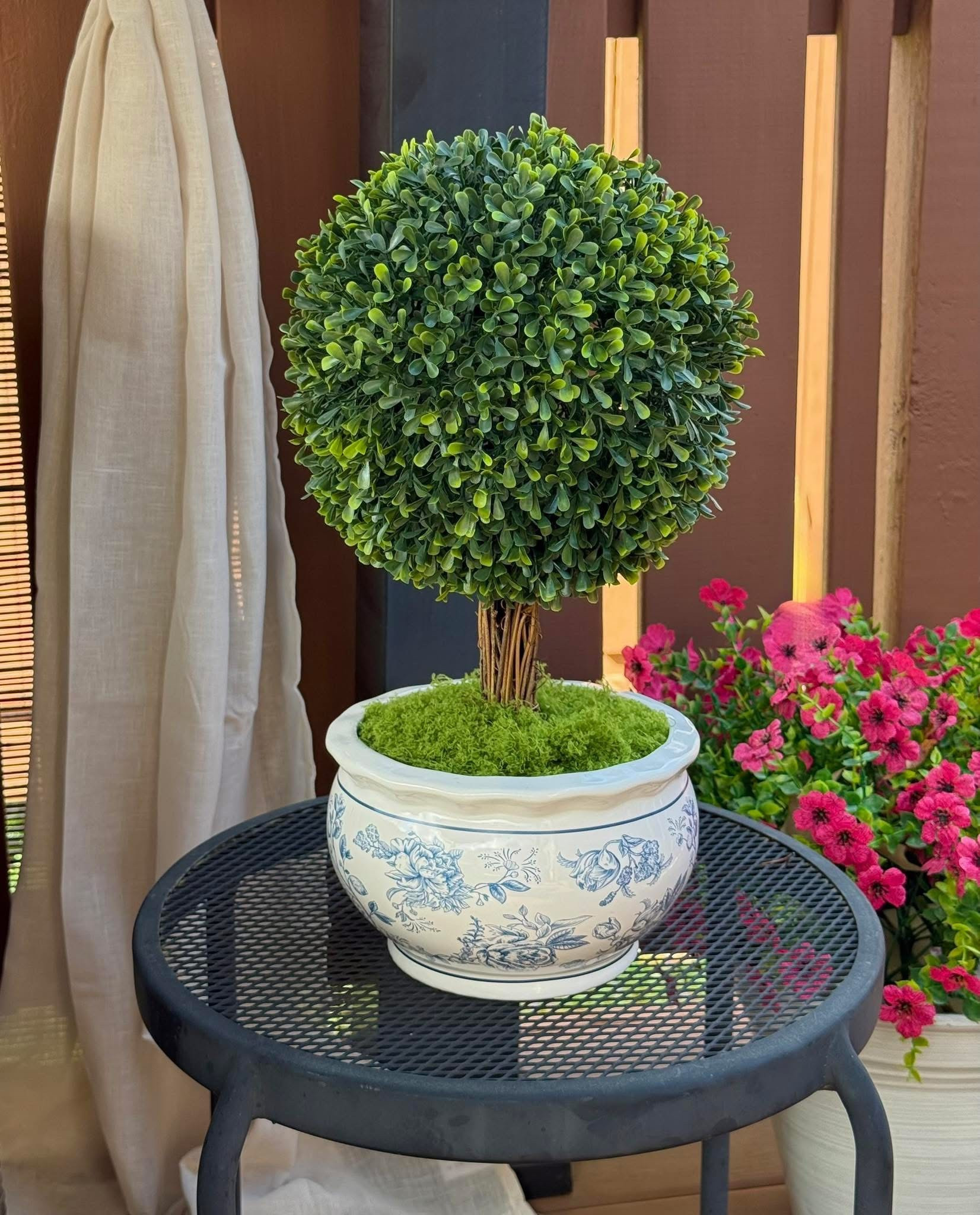 Obsessed is an understatement 😍 This My Texas House topiary from Walmart is the easiest way to elevate your patio, porch, or entryway for spring and summer. The classic blue and white planter gives major cozy cottage vibes, and the lush greenery looks so real without any maintenance. Bonus: it comes in two sizes so you can style them together or make a statement with just one.
Perfect for outdoor decor, farmhouse style, cottagecore aesthetic, and low-maintenance greenery lovers.
#MyTexasHouse #WalmartFinds #TopiaryTree #OutdoorDecor #PorchDecor #CottageStyle #FarmhouseDecor #SpringDecor #SummerDecor #HomeDecorFinds 

#LTKmomlife #LTKHome #LTKSeasonal