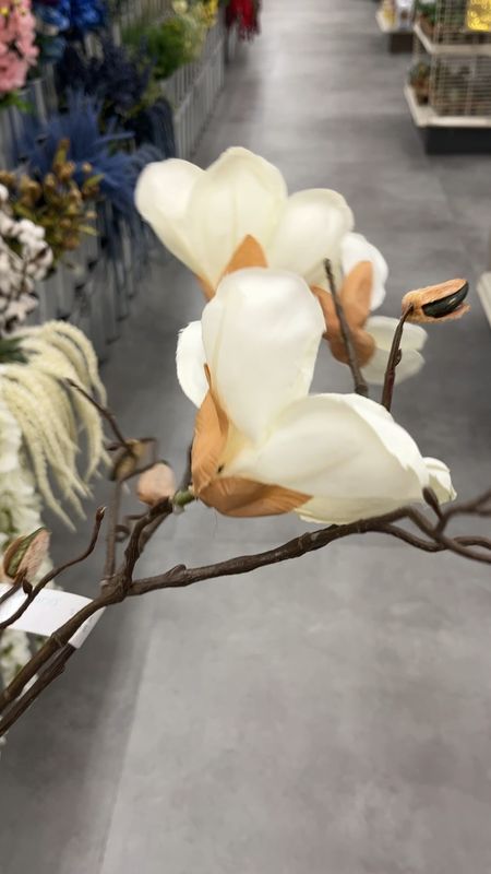 Faux magnolia stems 

#LTKhome #LTKfindsunder50 #LTKSeasonal