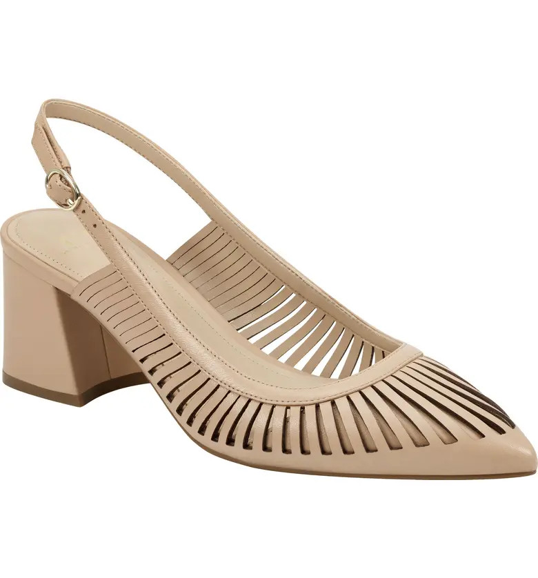 Zabie Slingback Pointed Toe Pump | Nordstrom