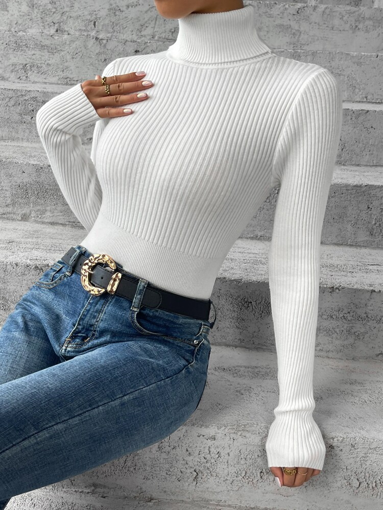 SHEIN Unity Turtle Neck Ribbed Knit Sweater | SHEIN