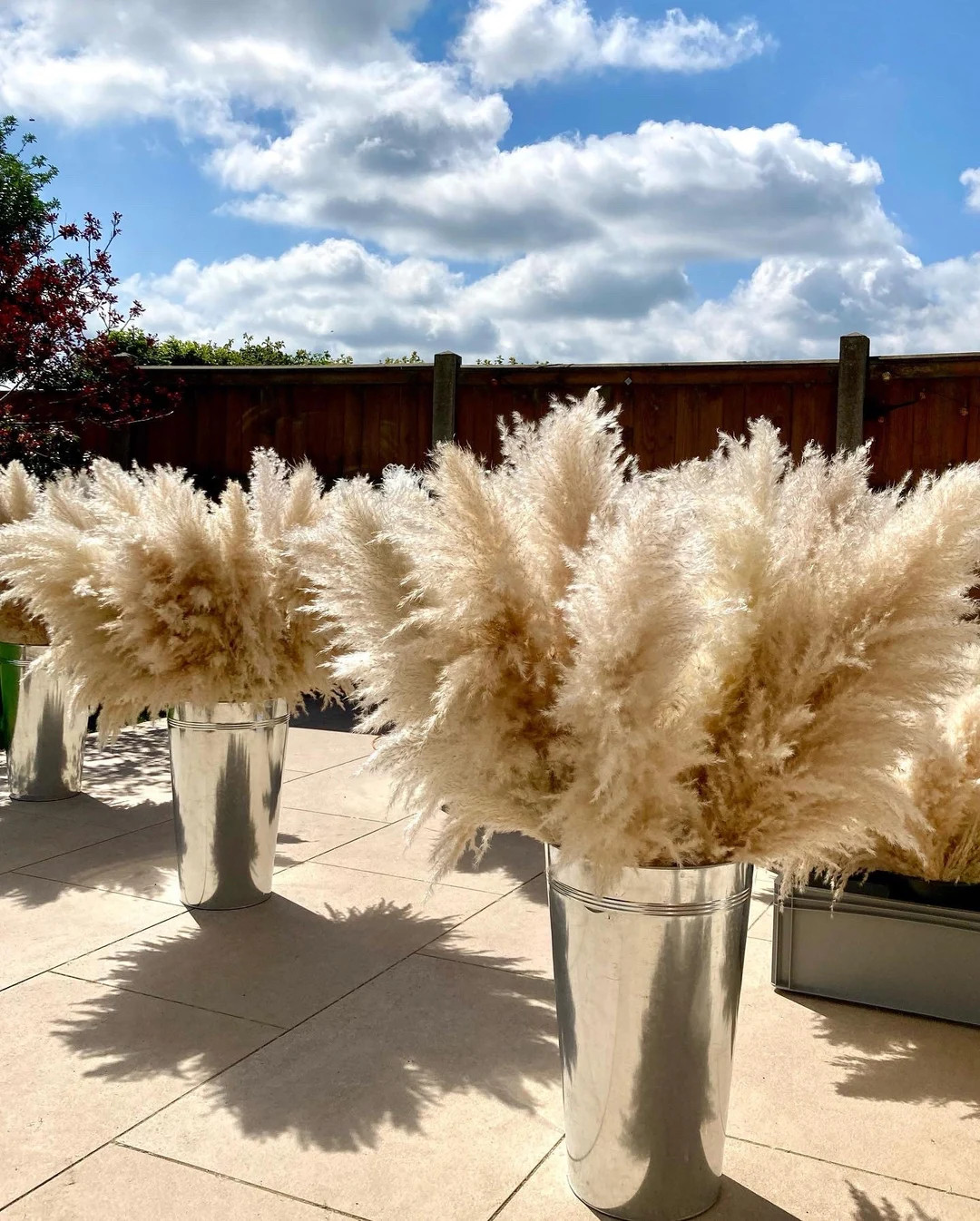 XL Pampas Grass 115cm 90cm or 70cm Extra Fluffy Luxury - Etsy UK | Etsy (UK)