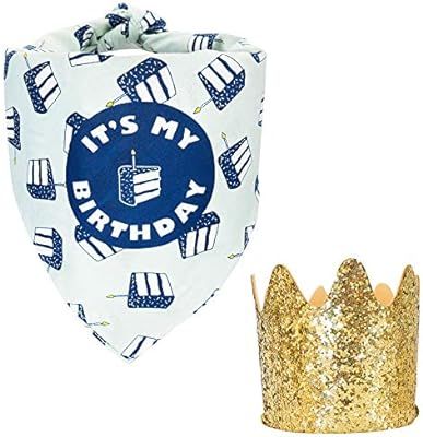 Dog Birthday Bandana and Crown Set - Blue | Amazon (US)