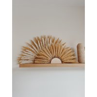 Pre - Order The Pampas Sun Kit | Etsy (US)