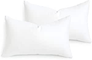 Hofdeco Premium Lumbar Pillow Inserts Set of 2, 13"x21" (for Cover Size 12"x20") Water Resistant ... | Amazon (US)