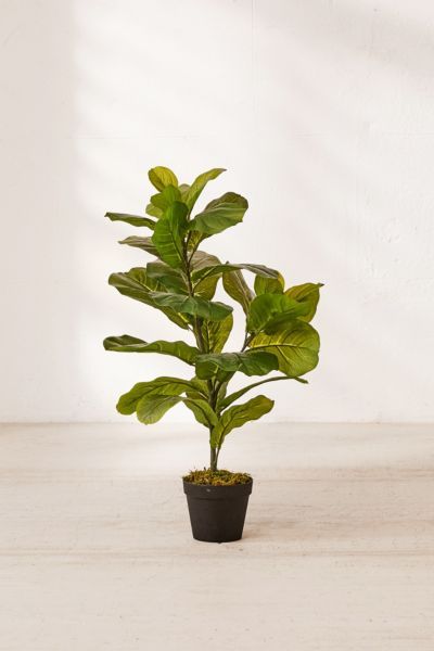 Fiddle Leaf Potted Faux Plant - Green at Urban Outfitters | Urban Outfitters (US and RoW)