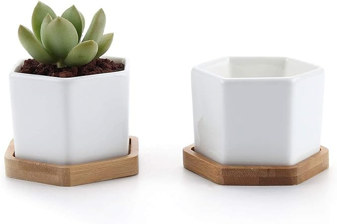 Succulent Plant Pots, 2.48 inch Mini Succulent Planter, White Ceramic Succulent Cactus Planter Po... | Amazon (CA)