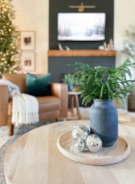 Winter decor but make it ✨magical✨ - Christmas is put away but the tree is going to stay a little longer because I like it, okay? 🌲 Also added a few 🪩 to ring in the new year and I’m kind of obsessed. We’re ready for 2024. Maybe. Sort of. 🥂

Music: Mint Leaves
Musician: Jeff Kaale

#LTKSeasonal #LTKhome #LTKVideo