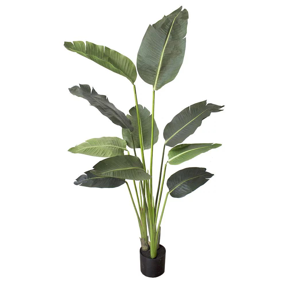 5 foot Artificial Silk Bird of Paradise Palm Tree Potted Plant - Walmart.com | Walmart (US)