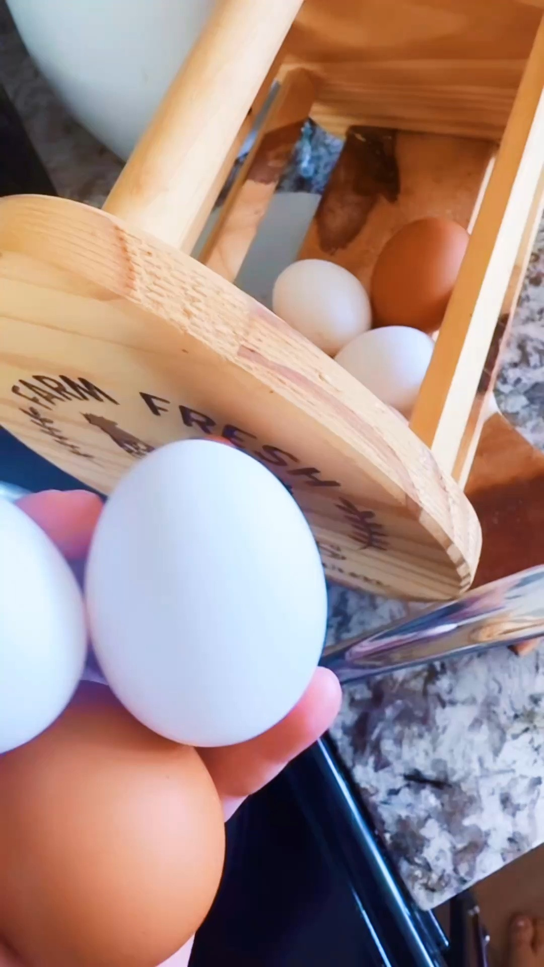 Also… had our first new chicken 🐓 lay a double yolk this morning 🥚- go girl go!! 🙌🏽
