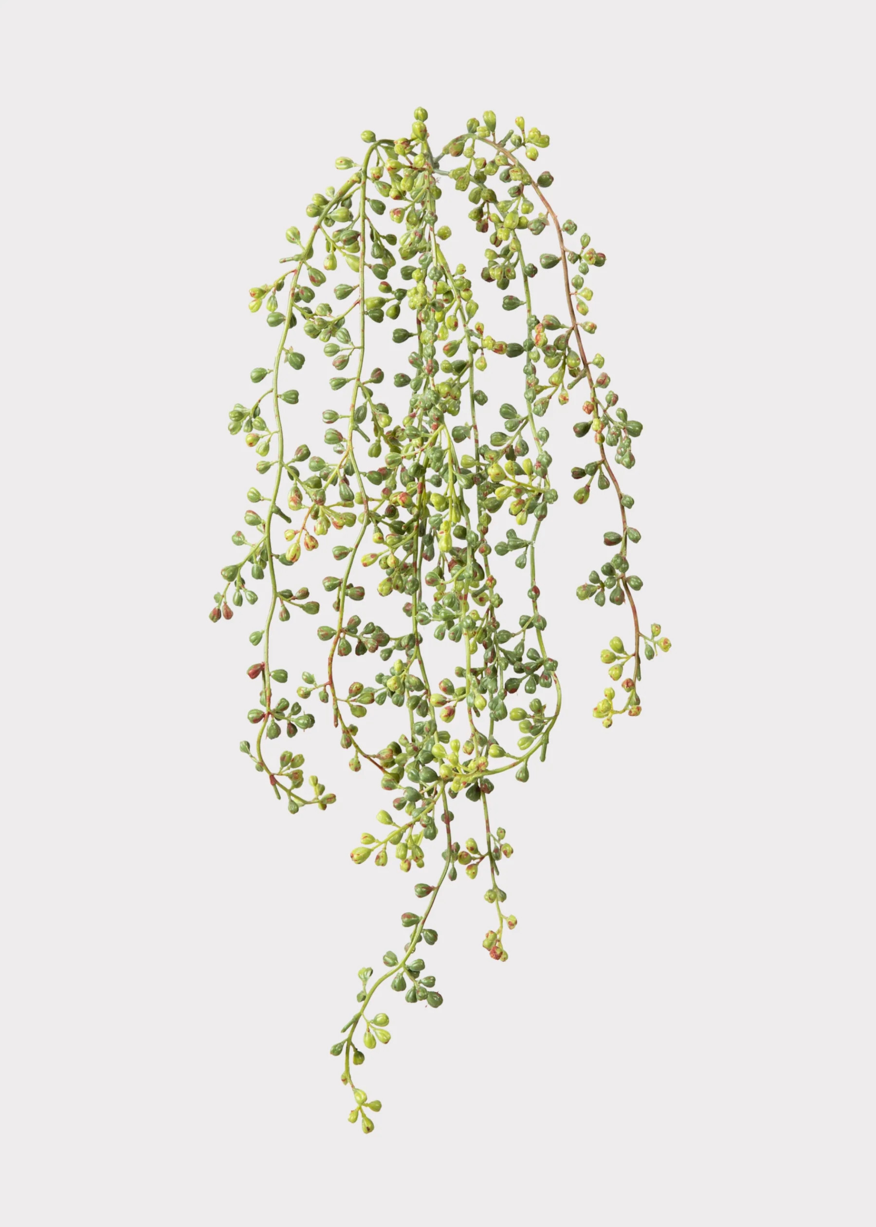 Hanging String of Pearls Bush | Artificial Succulents | Afloral | Afloral