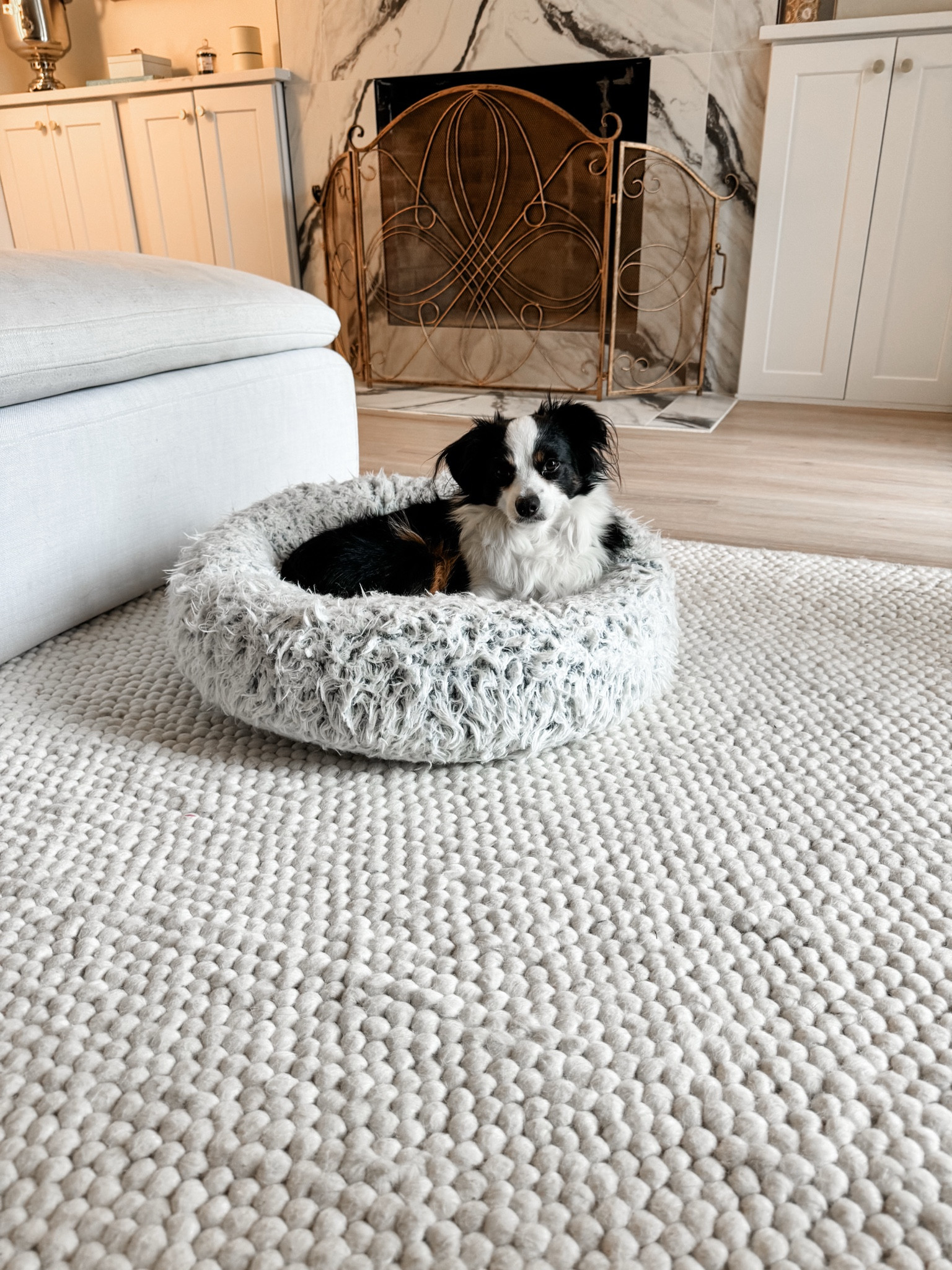 Finding a good quality rug that doesn’t shed or release microplastics into your home is not easy—but @wayfair made it so much simpler! I used their search filters to find 100% wool and cotton rugs, and these are my top picks. Soft, durable, and actually breathable—what more could you want? #wayfair #wayfairpartner

#LTKHome