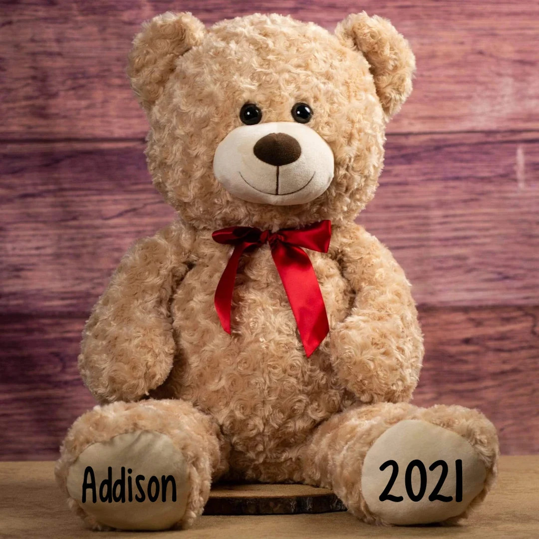 Personalized Valentines Day Bears-Anniversary gift-Valentine Plush-Anniversary Basket -2022 gift-... | Etsy (US)