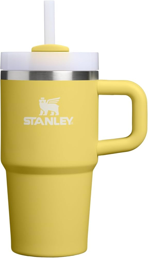 STANLEY Quencher H2.0 Tumbler with Handle and Straw 20 oz | Flowstate 3-Position Lid | Cup Holder... | Amazon (US)