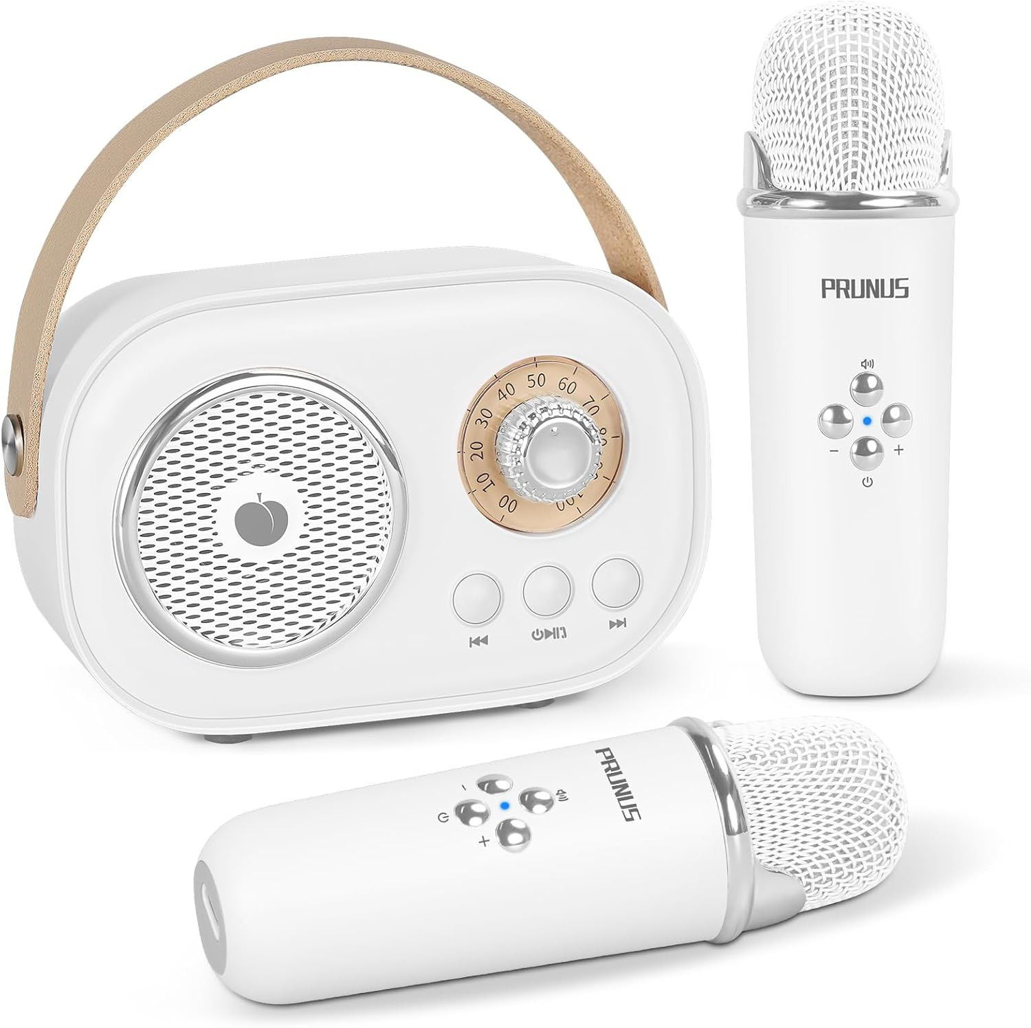 Mini Karaoke Machine for Kids&Adults,Portable Bluetooth Speaker with 2 Wireless Microphones and S... | Amazon (US)