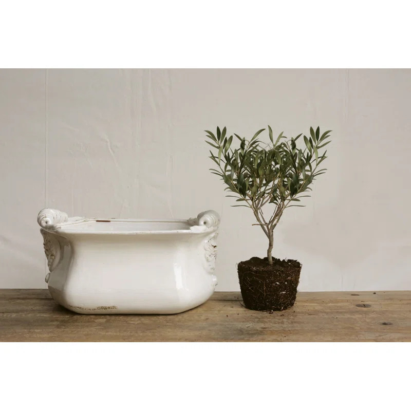 Mcfarland Decorative Terra-cotta Cache Pot | Wayfair North America