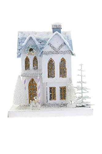 Cody Foster & Co White and Blue 11inch Christmas Village Mill House with Dog Multicolor | Amazon (US)