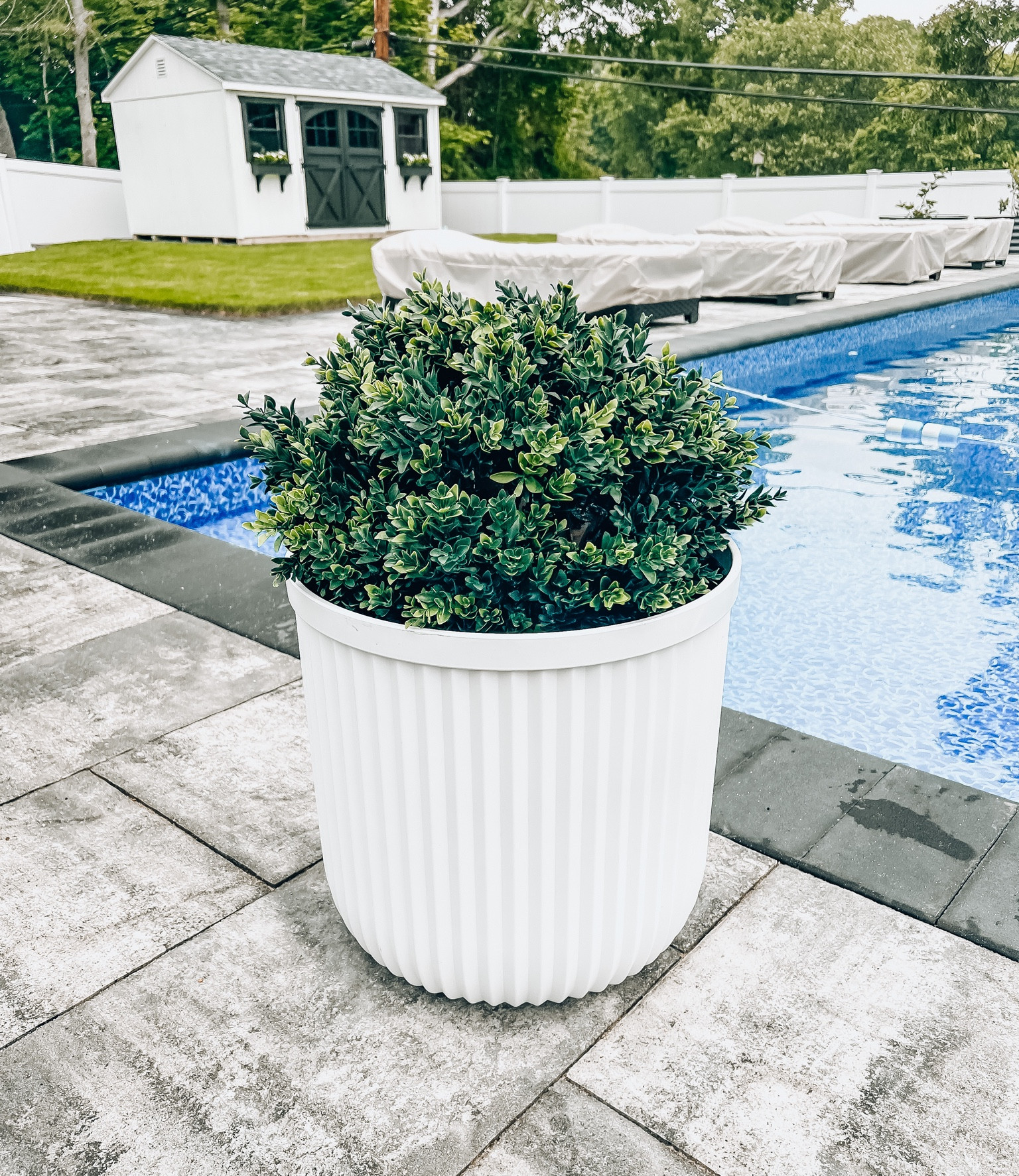 Planter & boxwood 

Walmart | amazon | home decor | backyard decor | backyard design 

#LTKstyletip #LTKFind #LTKhome