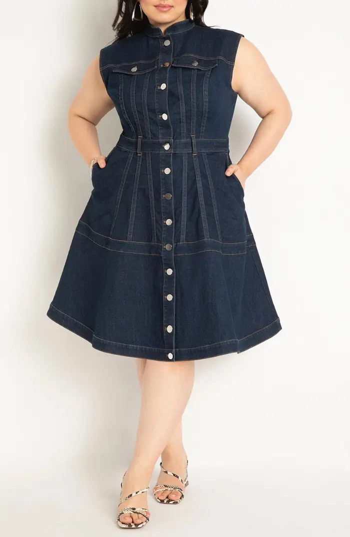 Sleeveless Denim Fit & Flare Shirtdress | Nordstrom